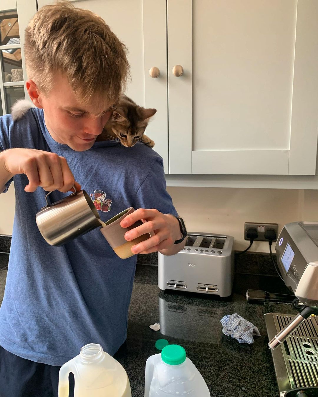 Get your own Somali cat today! This gray and white kitten is waiting for you on a bed.