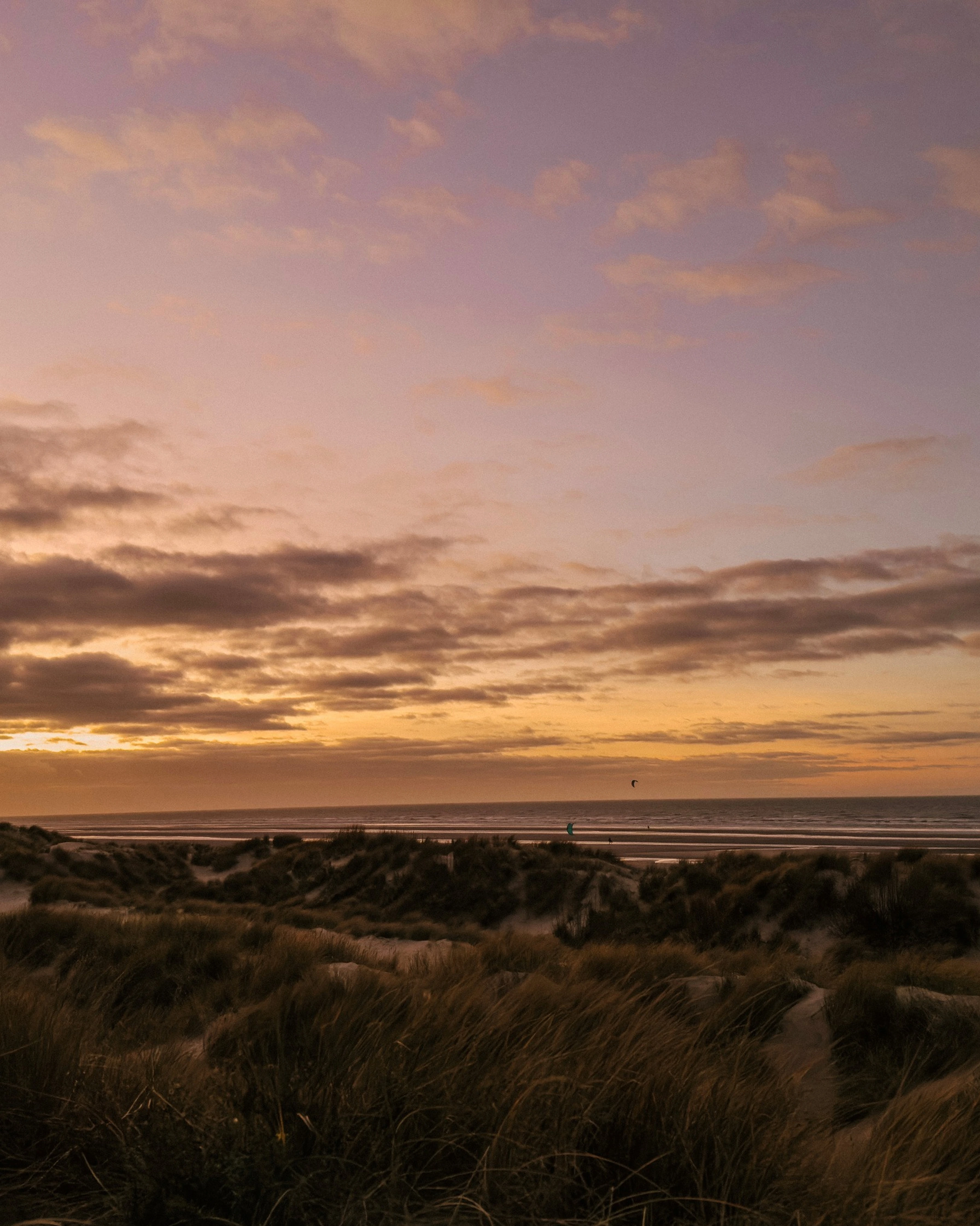 Coastal sand dunes with tall grass under a purple and orange sky at sunset, with kite surfers in the distance on the ocean.
