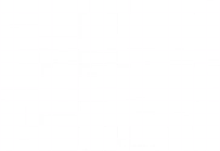 Highly pixelated and distorted image with black and white grid pattern making content unrecognizable.