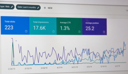 SEO performance data with graphs and metrics