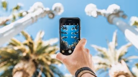 Person taking photo of palm trees and lamps with phone
