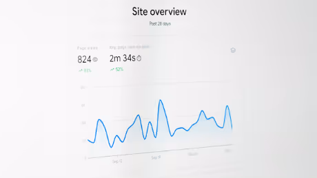 Website traffic overview and analytics chart