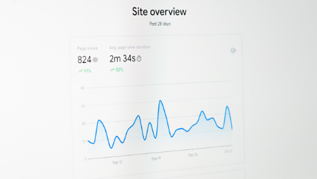 Website traffic overview and analytics chart