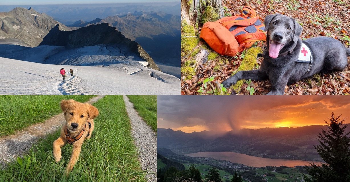 Collage mit zwei Personen, die auf einem schneebedeckten Berg wandern, einem schwarzen Rettungshund neben einem orangefarbenen Rucksack im Wald, einem braunen Welpen auf einem grasbewachsenen Wanderweg und einem Sonnenuntergang über einem See und Bergen.