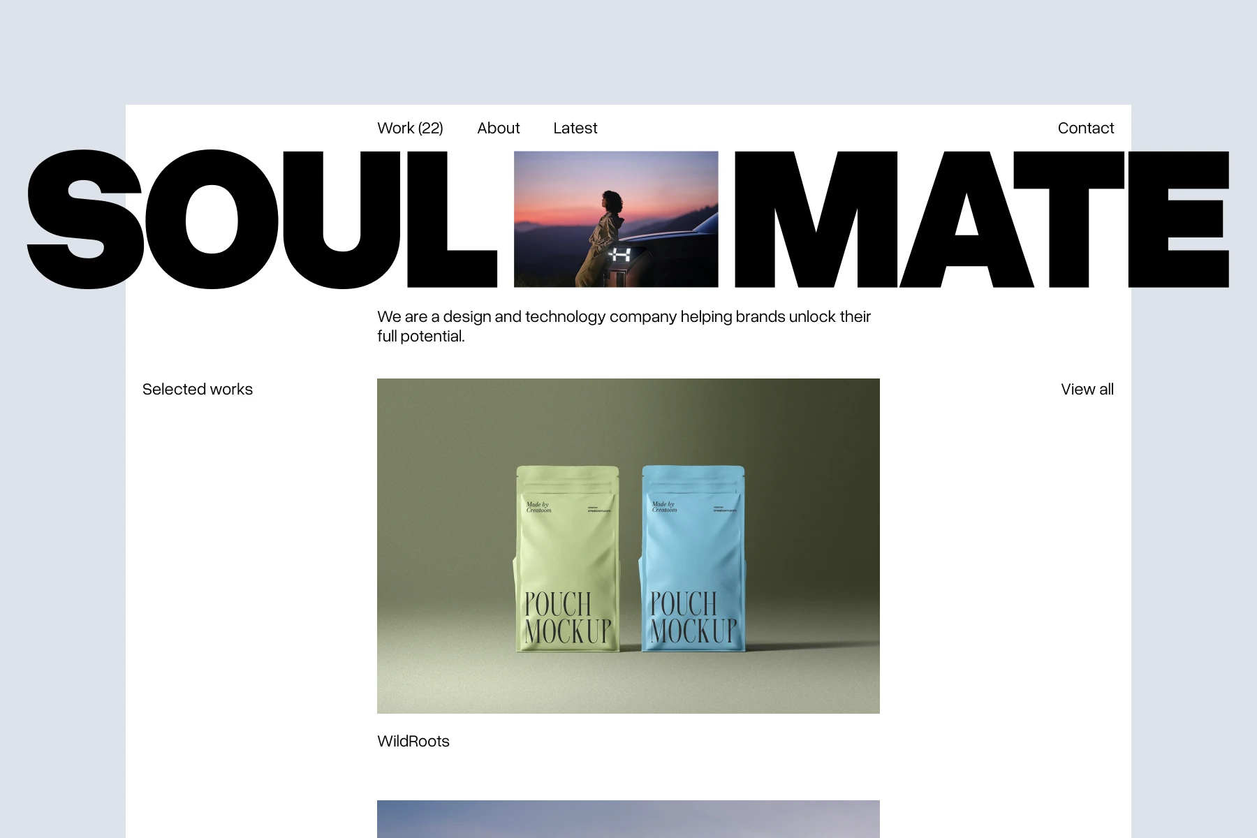 Website header with large bold text 'SOUL MATE', a photo of a person at sunset leaning on a car, and a design portfolio section displaying green and blue pouch mockups labeled WildRoots.