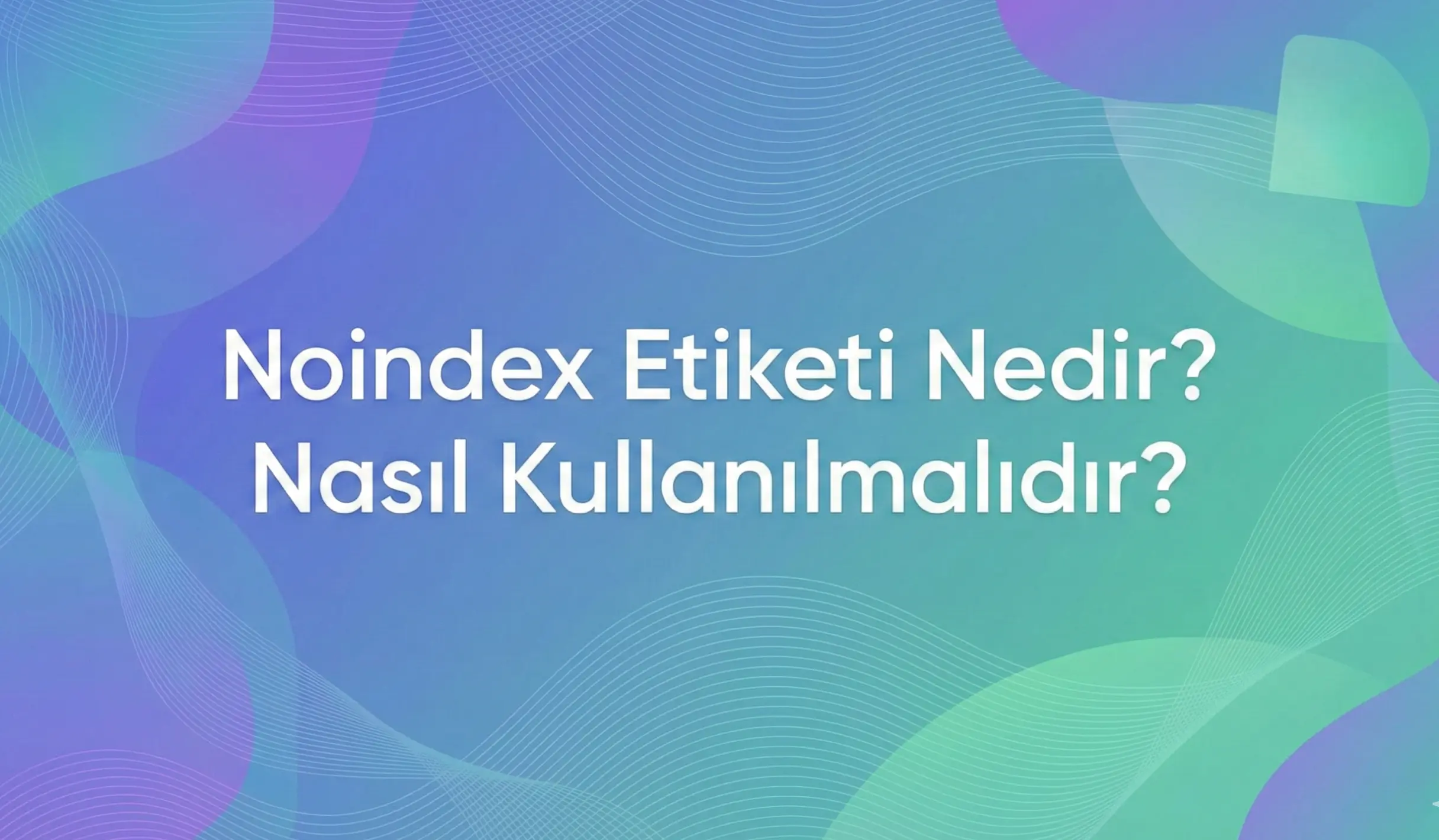 Noindex Etiketi Nedir? Nasıl Kullanılmalıdır?
