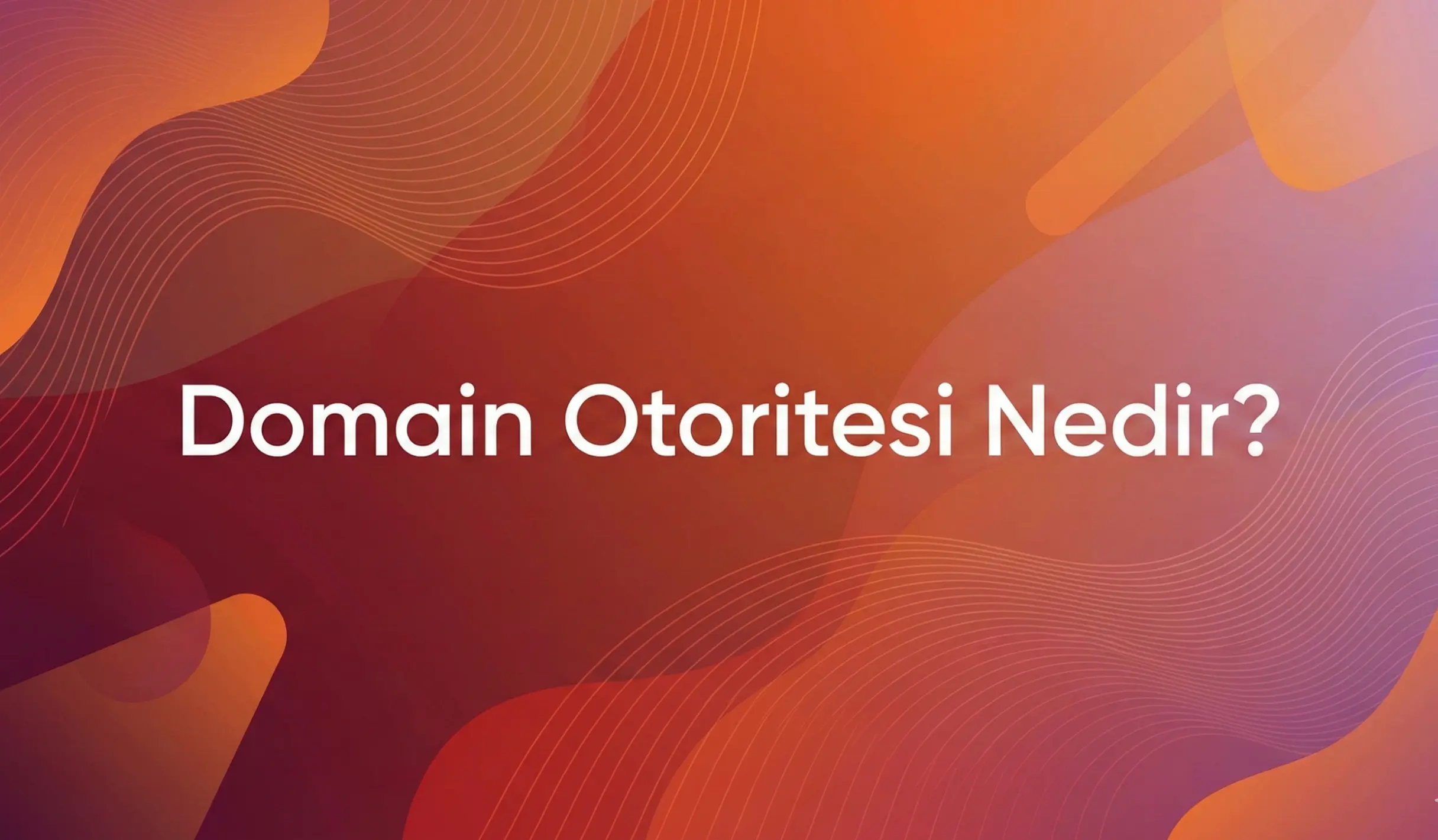 Domain Otoritesi Nedir? Nasıl Artırılır?