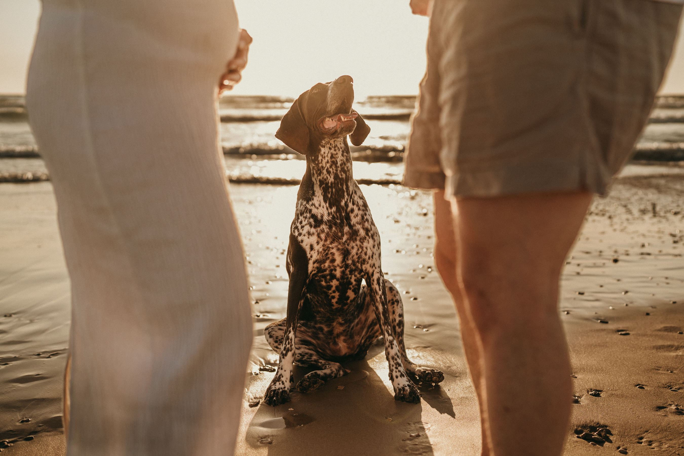 צילומי משפחה בחוף