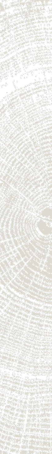 Close-up texture of tree rings and cracks in a cross section of wood trunk.