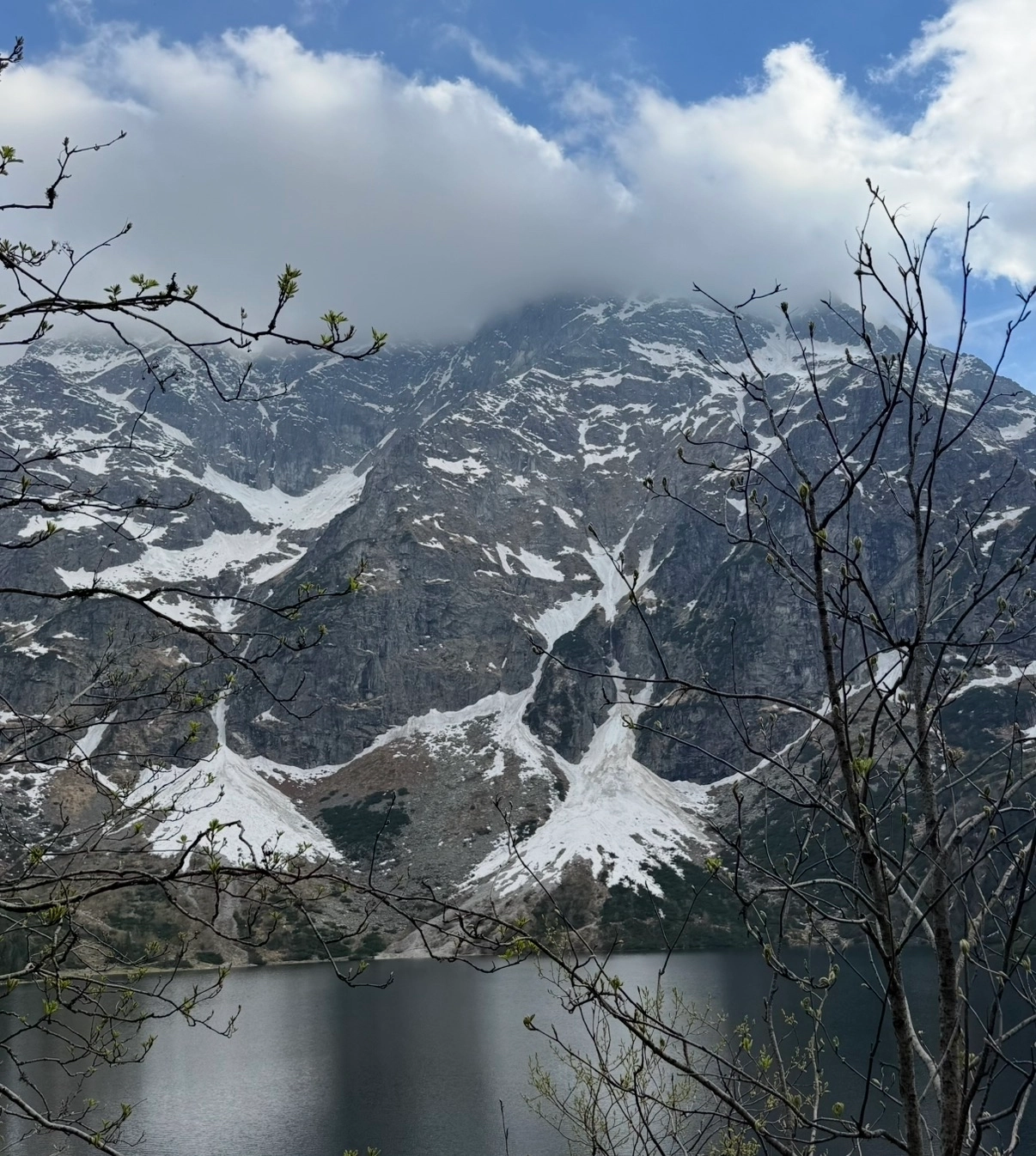 Snow patches on rocky mountain partially covered by clouds above a lake, with tree branches in foreground.