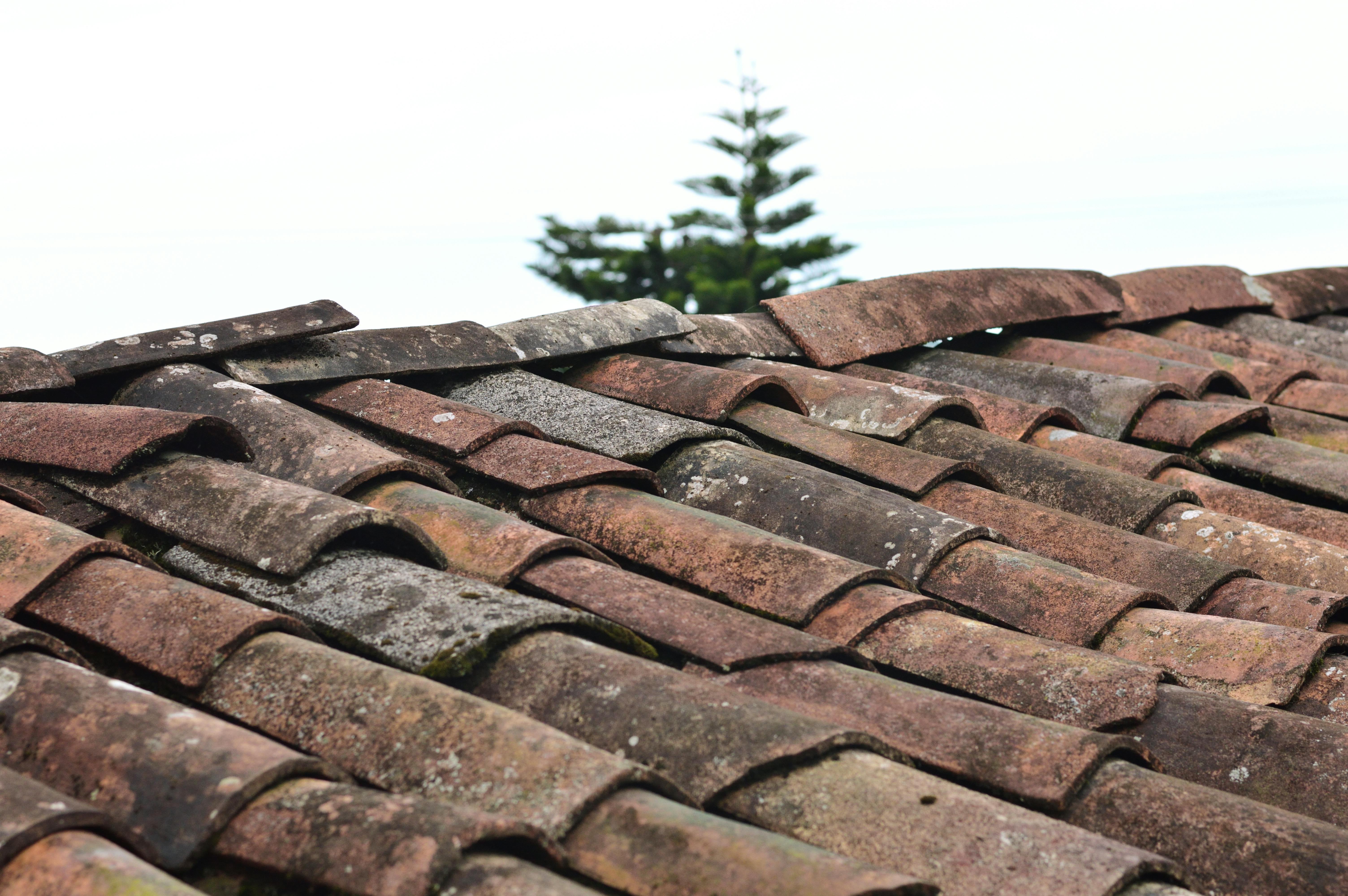 How to spot early signs of roof damage