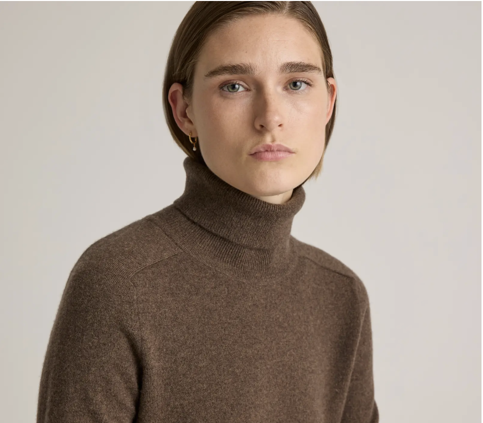 Close-up of a woman with light eyes wearing a brown turtleneck sweater and a small gold earring, against a neutral background.