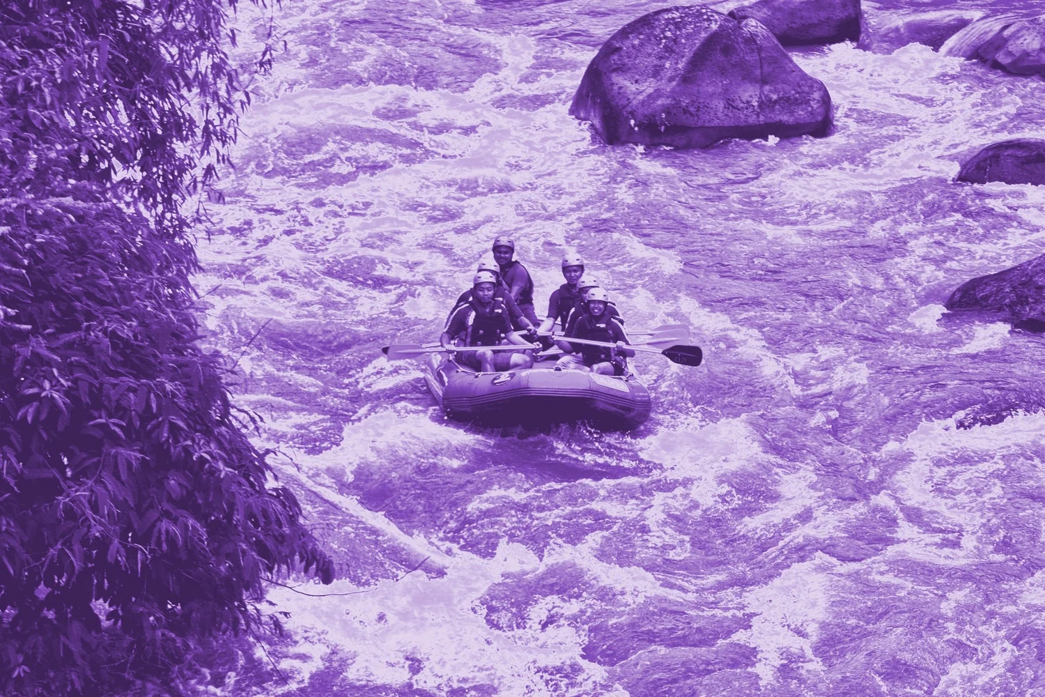 Brand activation - 5 best practices for startup CEOs