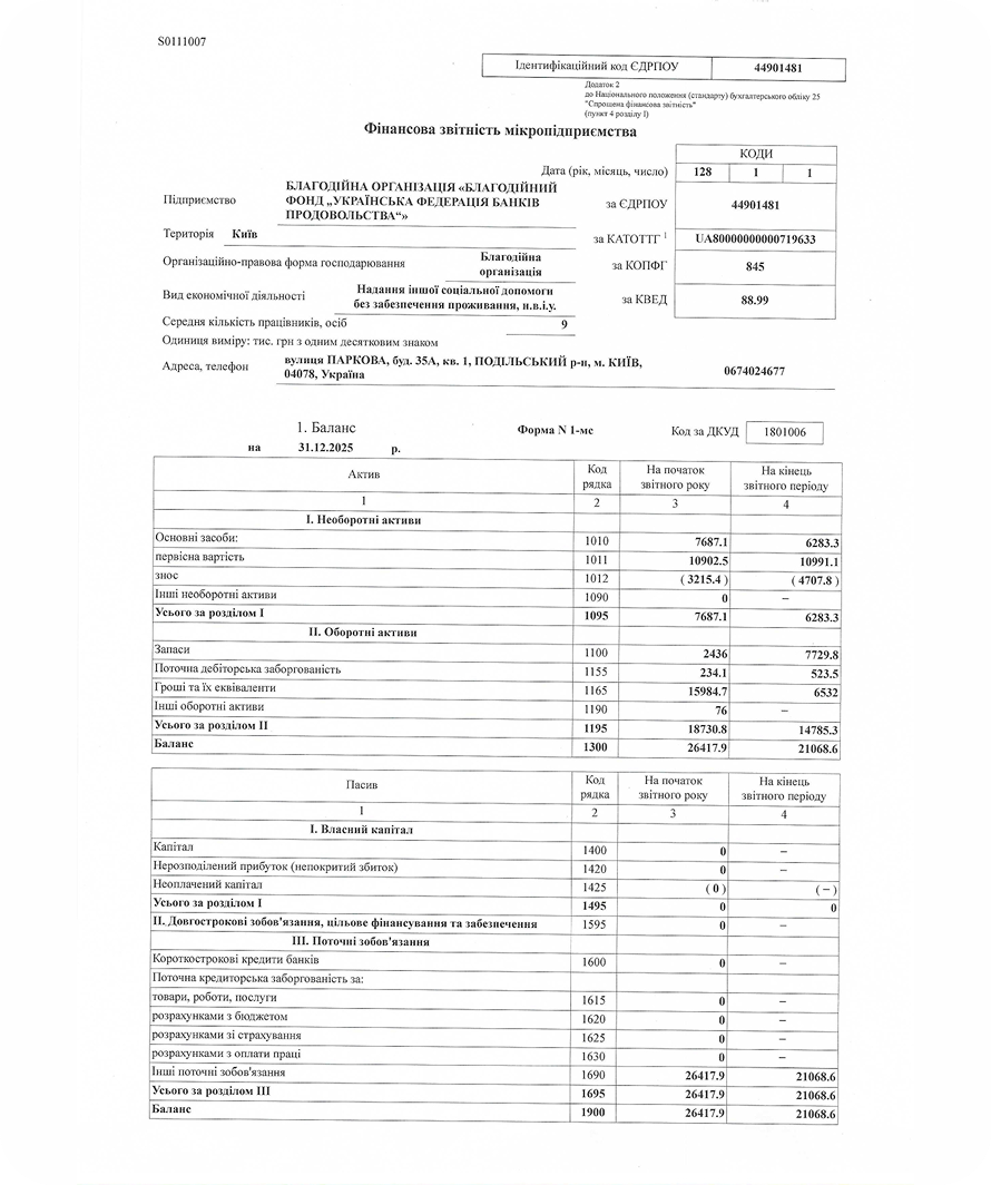 Фінзвіт 2025