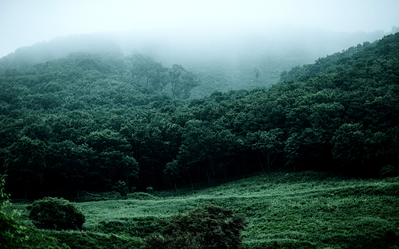  CarbonBuilt marks New England gateway with Jolley Concrete and Block 