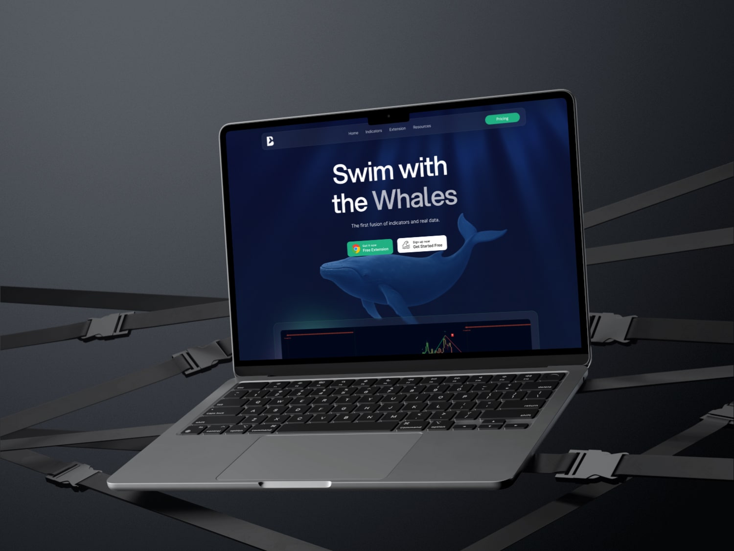 Open laptop displaying a website with a headline saying 'Swim with the Whales' and a whale illustration on a dark background.