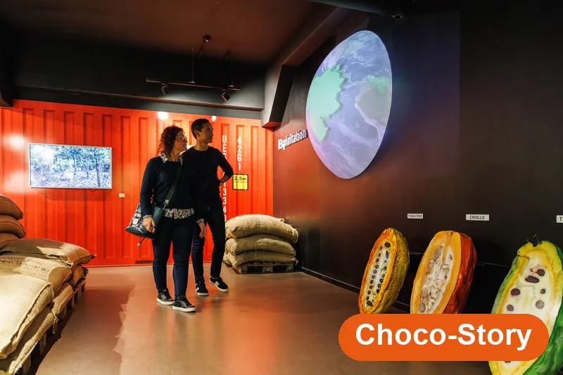 Couple dans la salle du cacao, globe et cabosses — Choco-Story Colmar