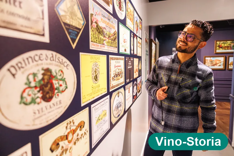 Visitatore che scopre un muro di antiche etichette di vini d'Alsazia — Vino-Storia Colmar