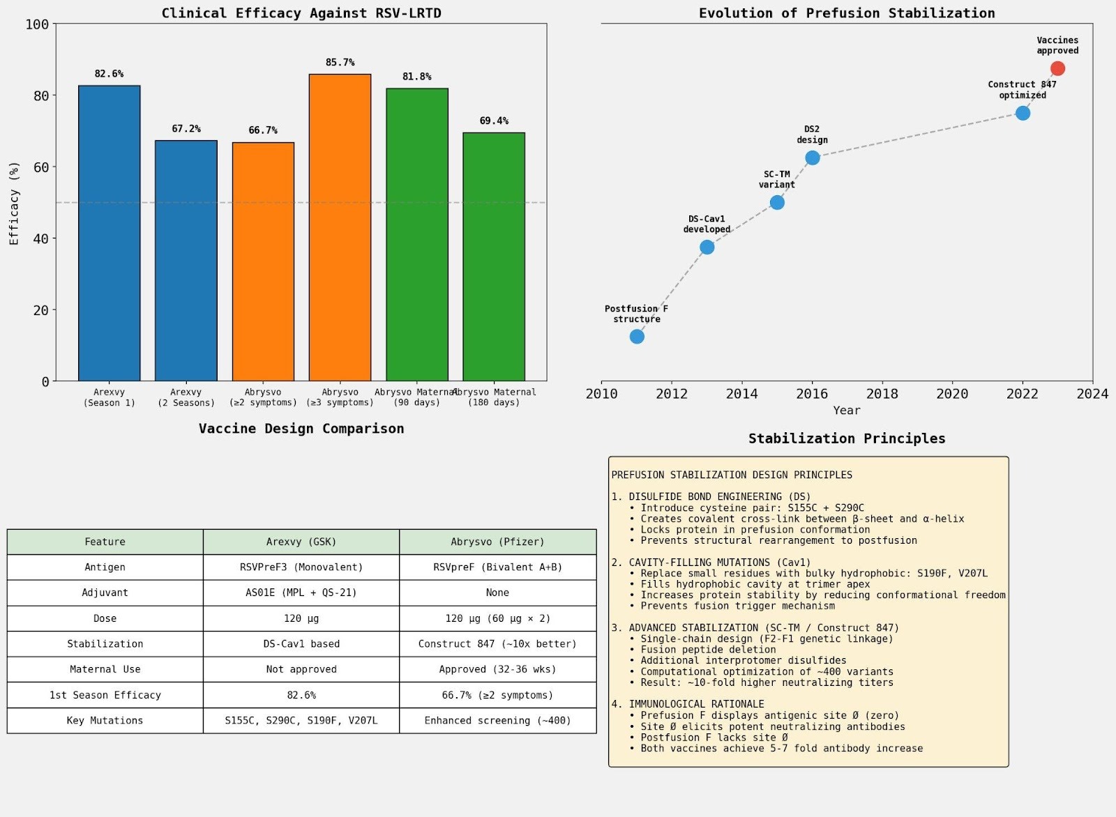 RSV vaccine comparison and stabilization principles