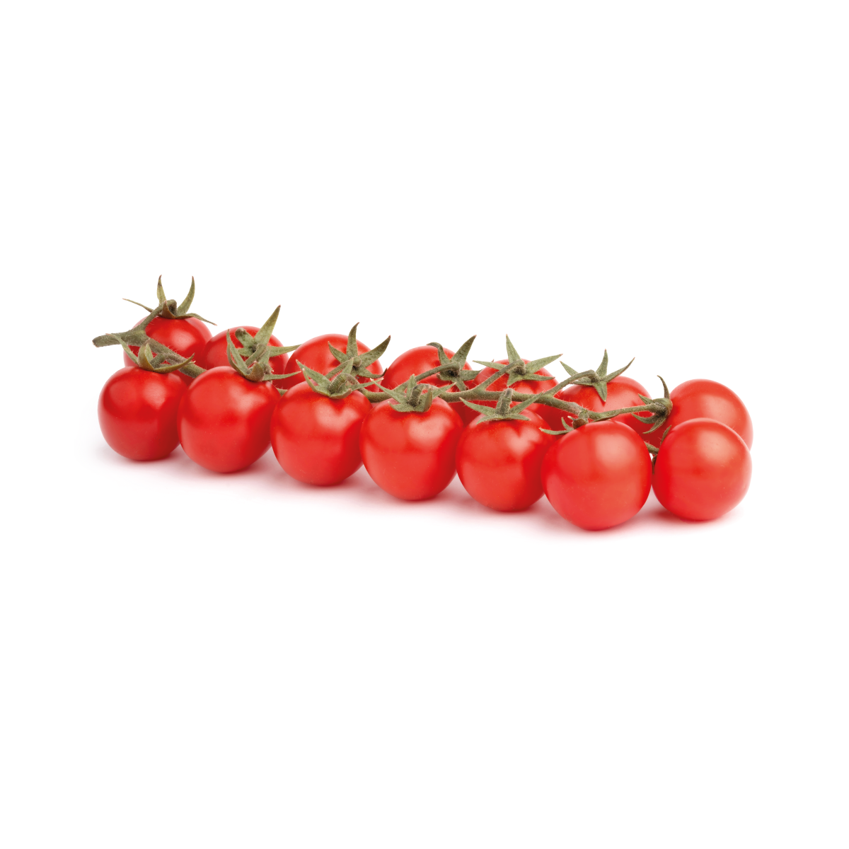 Sapuritu