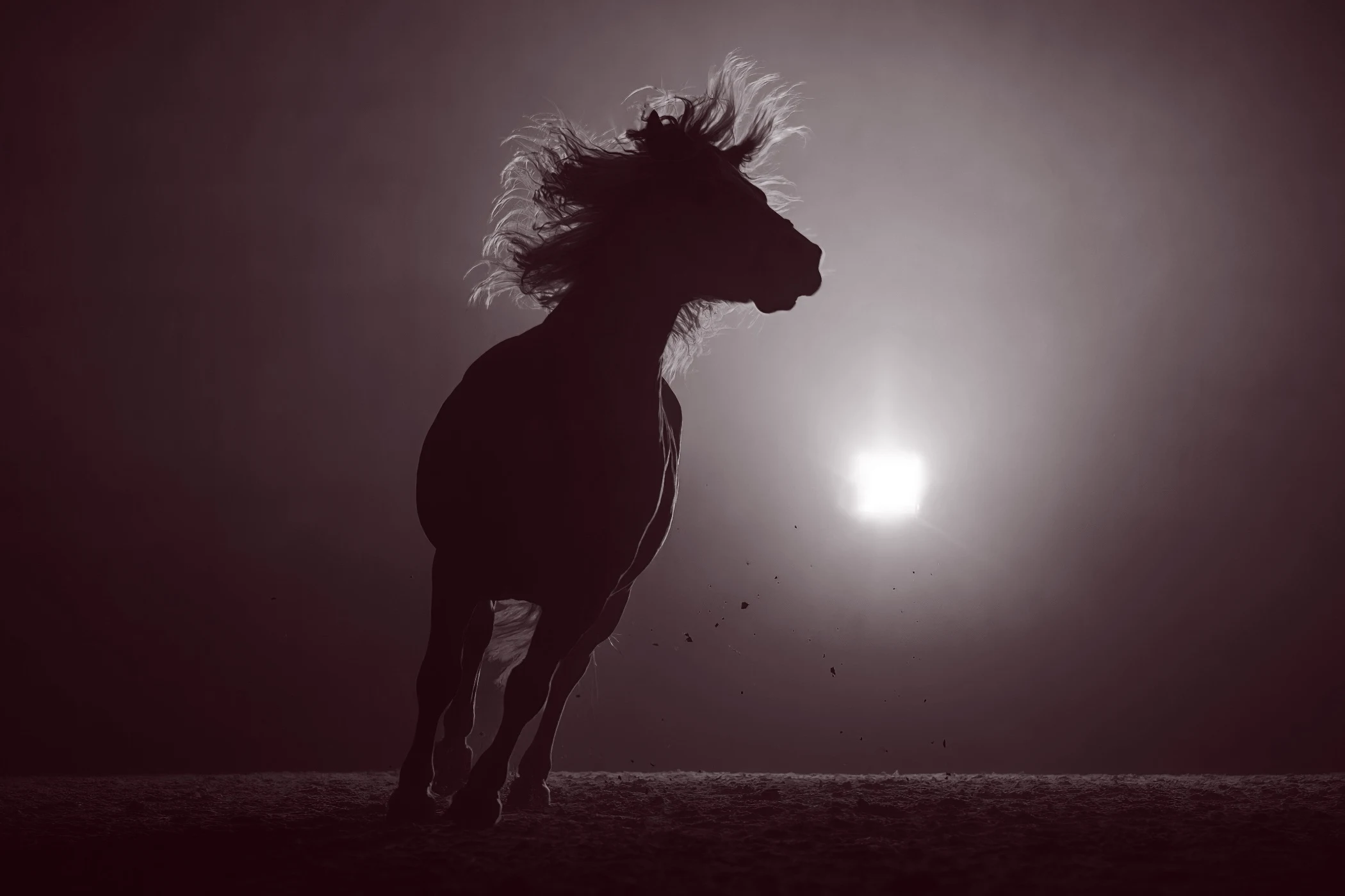 Silhouette of a horse running with its mane flowing against a bright light background.