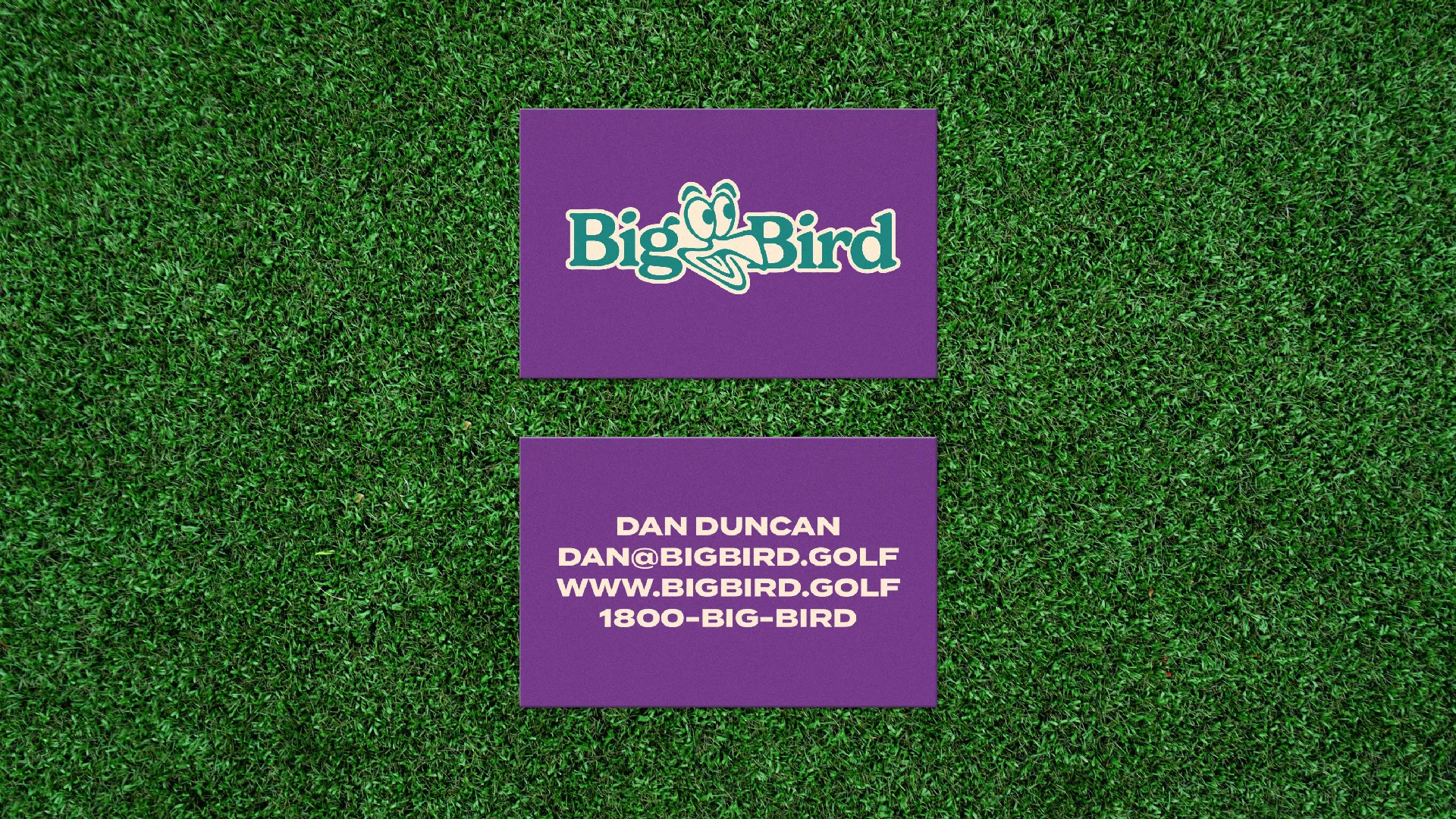 Big Bird Business Card