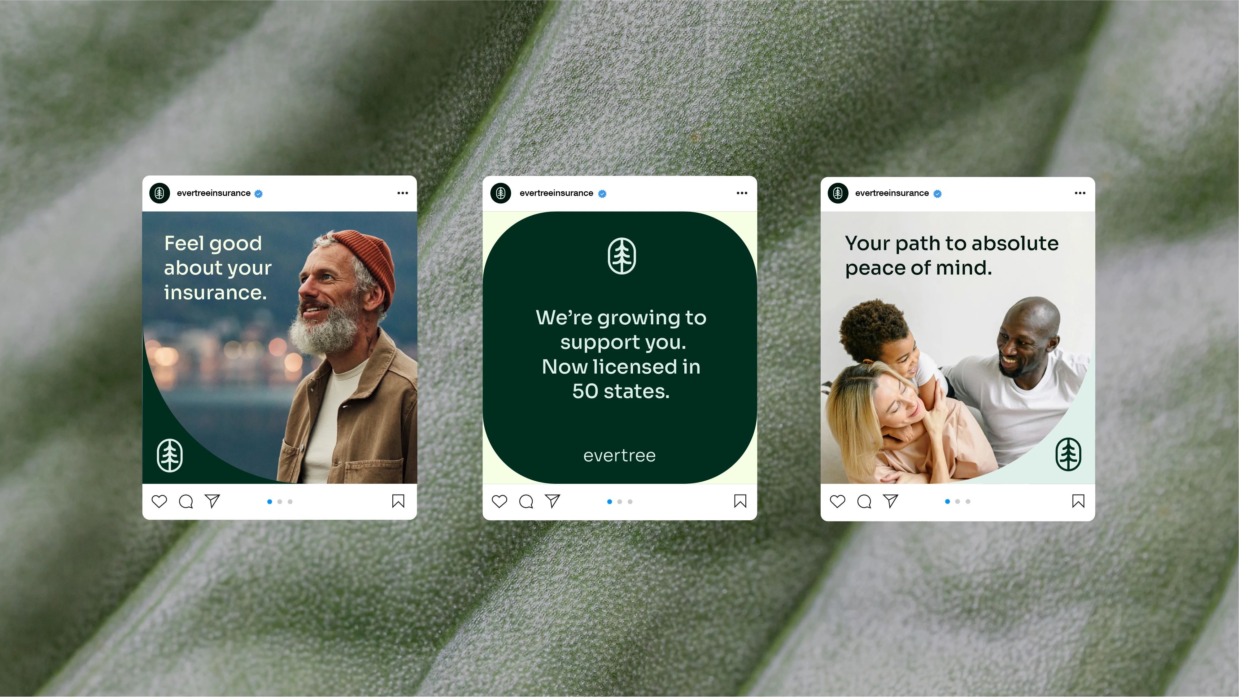 Evertree social media