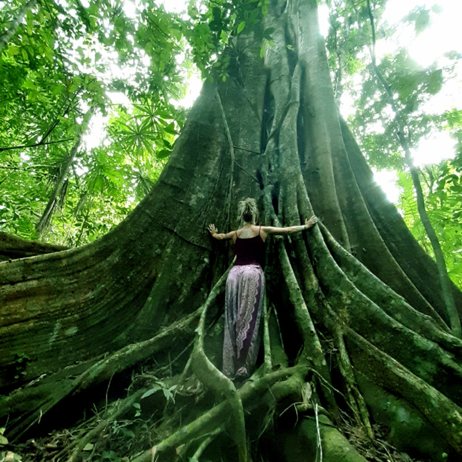 Arutam Zéro Déforestation