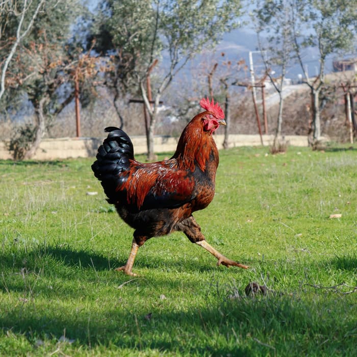 Lilo en 2026 : cap sur l’indépendance