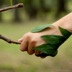 Fondation pour la Nature et l'Homme