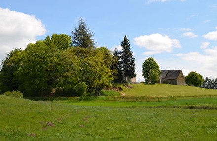 Quatre projets agricoles et refuges pour la biodiversité soutenus grâce aux gouttes d'eau