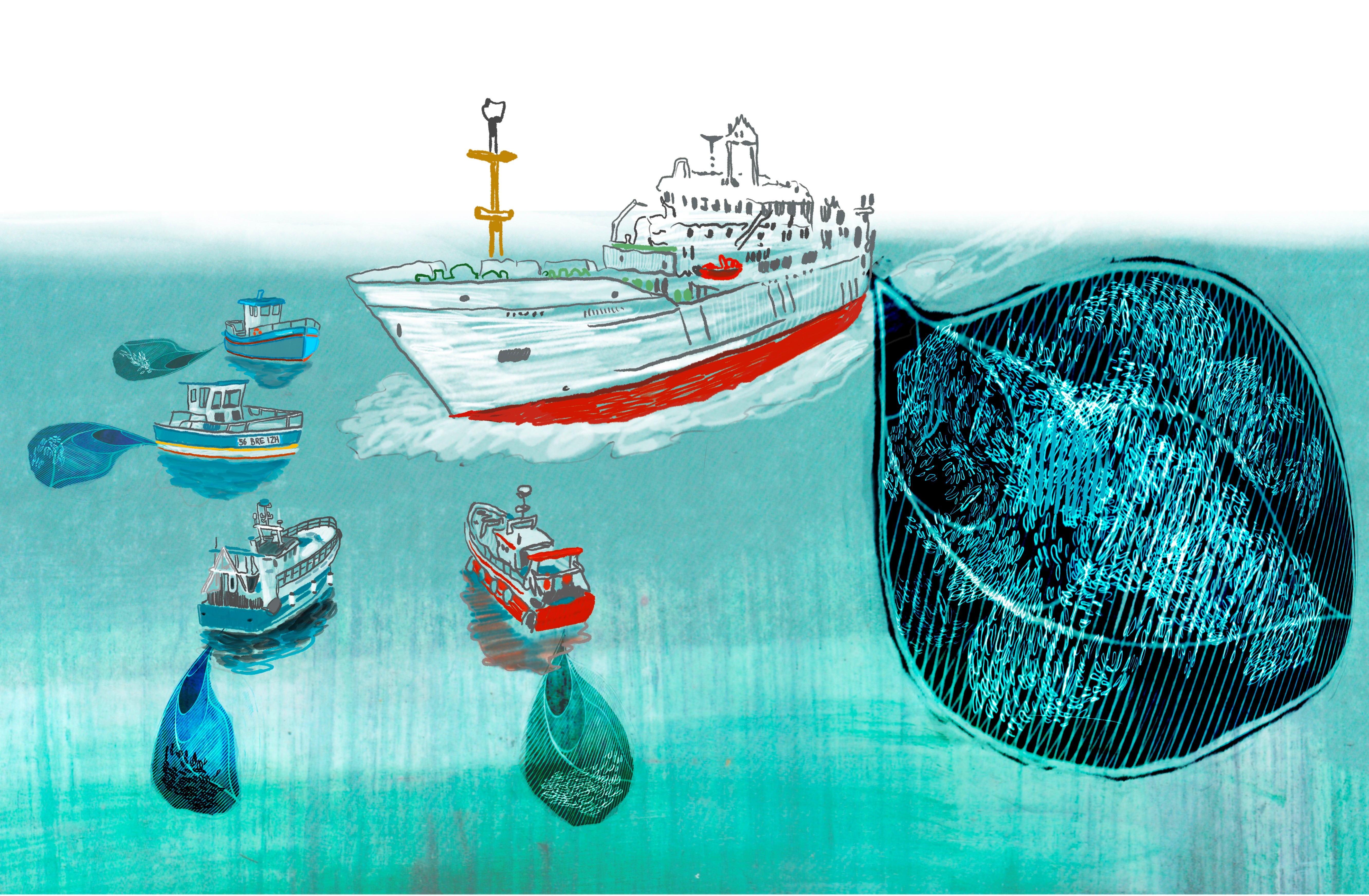 Le média d’investigation breton Splann! publie une nouvelle enquête en quatre volets sur les enjeux de la pêche industrielle