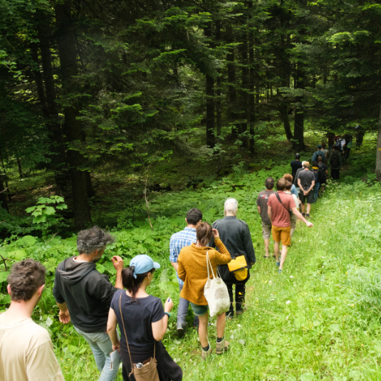 Réseau pour les Alternatives Forestières