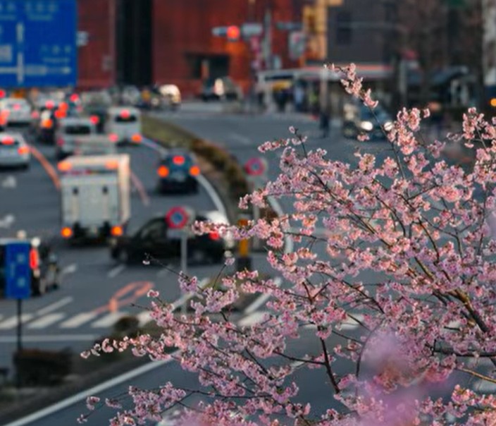 Canicule et amnésie environnementale : le nouveau film de l'ONG Bloom nous invite à retrouver la mémoire du vivant