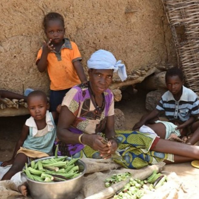 CCFD Terre Solidaire
