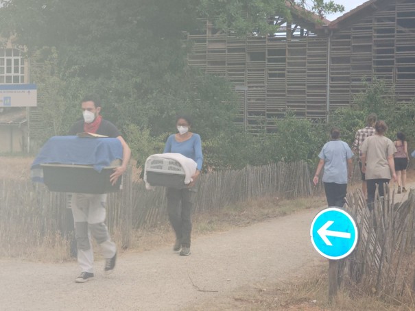 Faune sauvage et incendies : comment aider le Centre de soins LPO Aquitaine ? 