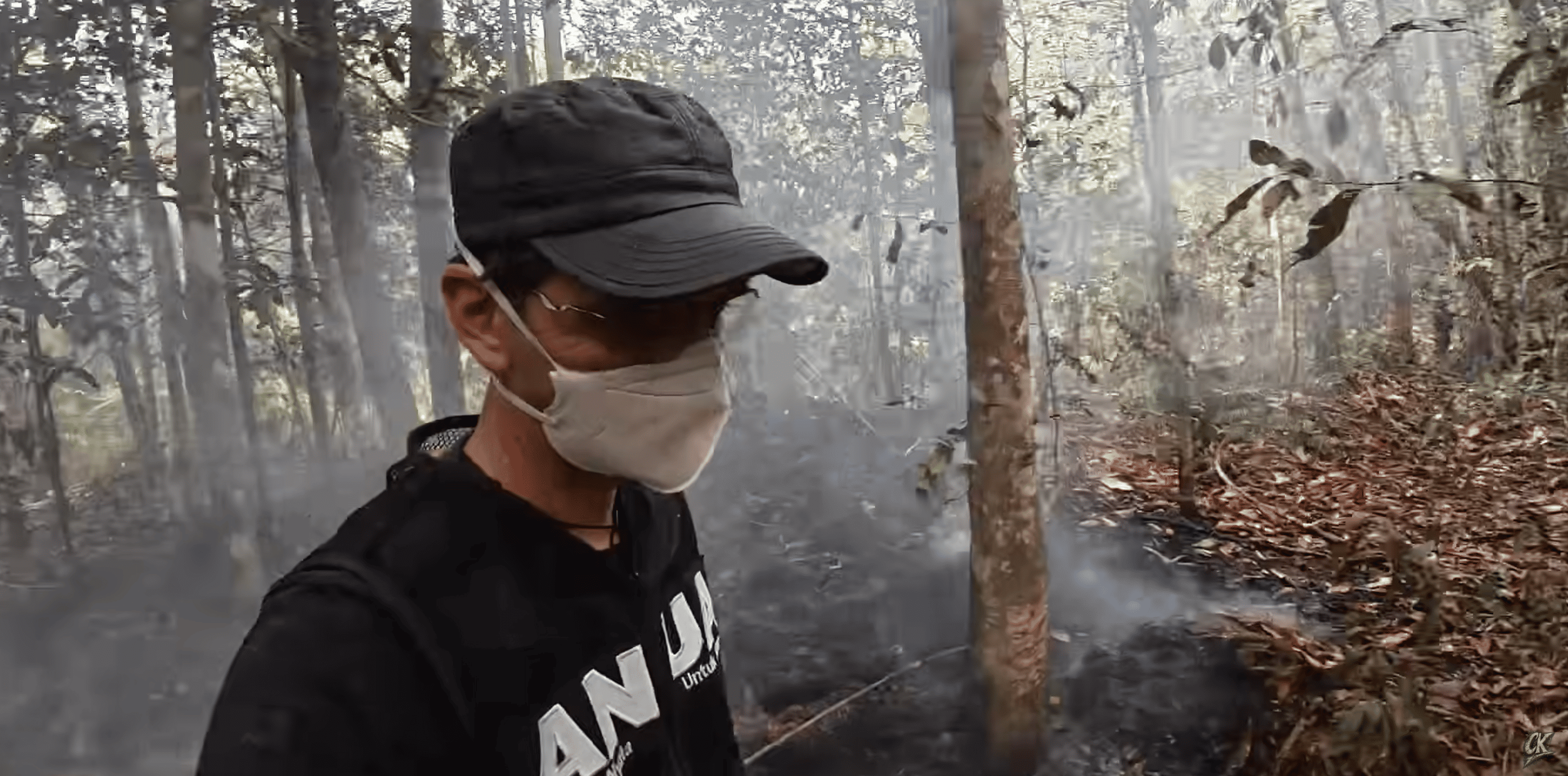 Incendie à Bornéo : Kalaweit se mobilise pour protéger la forêt
