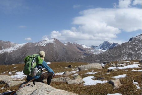 Inédit : partez sur les traces de la panthères des neiges