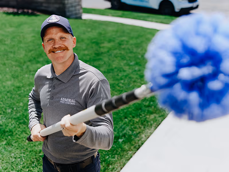 home pest control service from admiral