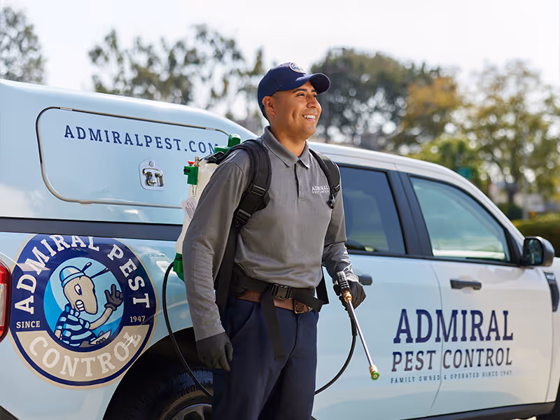 ongoing pest control services in california