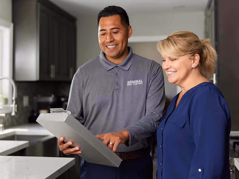 reviewing pest treatment options