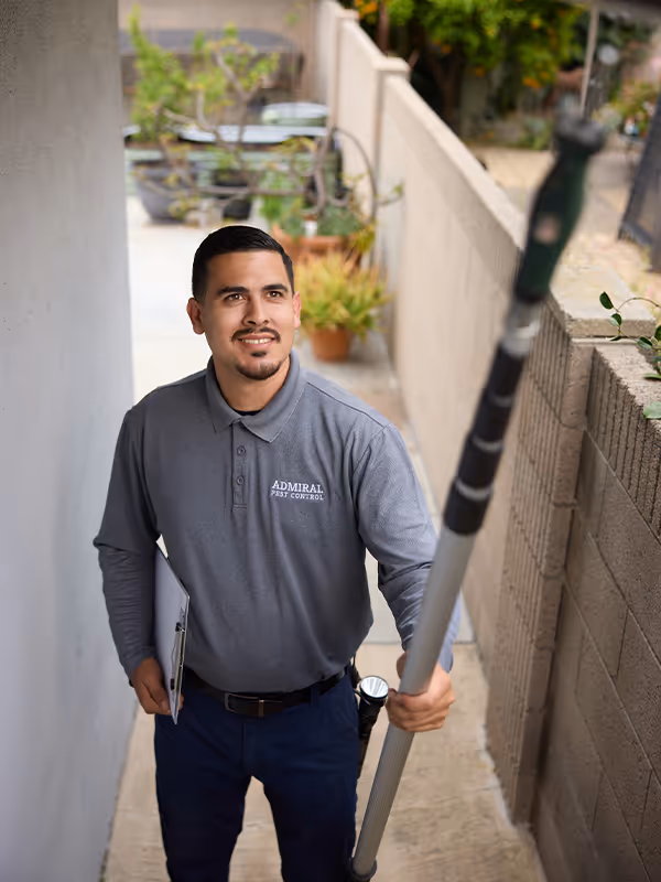 inspecting a home for termites
