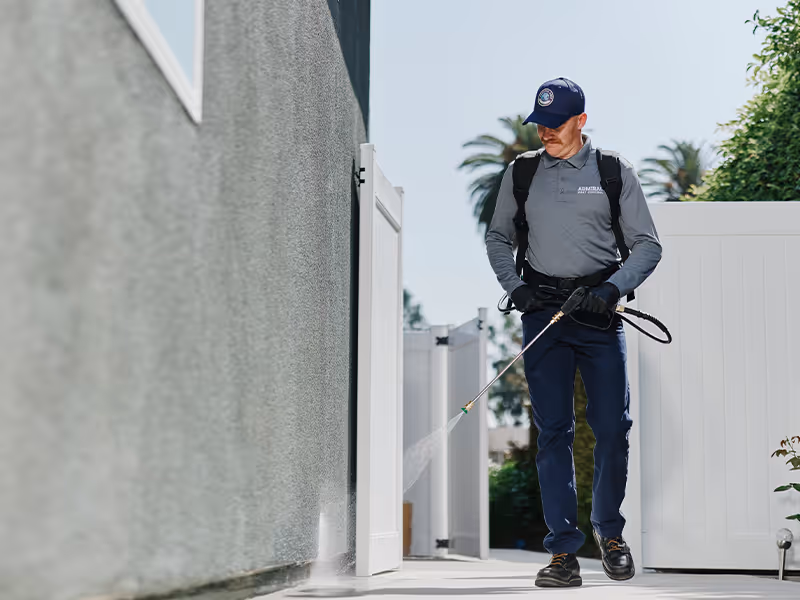 treating the exterior of a ca home for pests