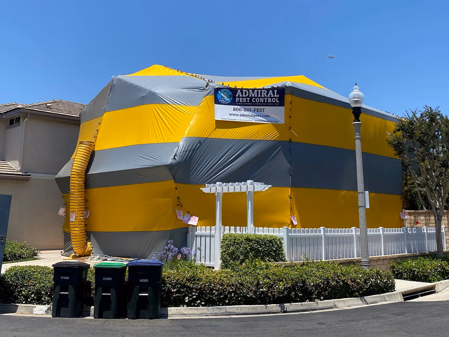 fumigating a california home for bed bugs