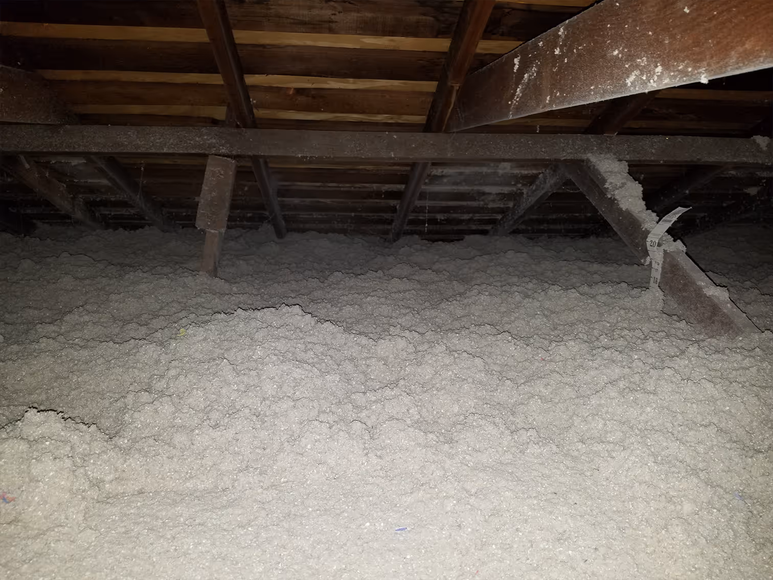 tap pest control insulation