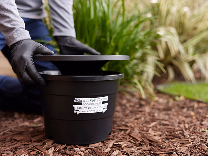 mosquito control station by admiral pest control