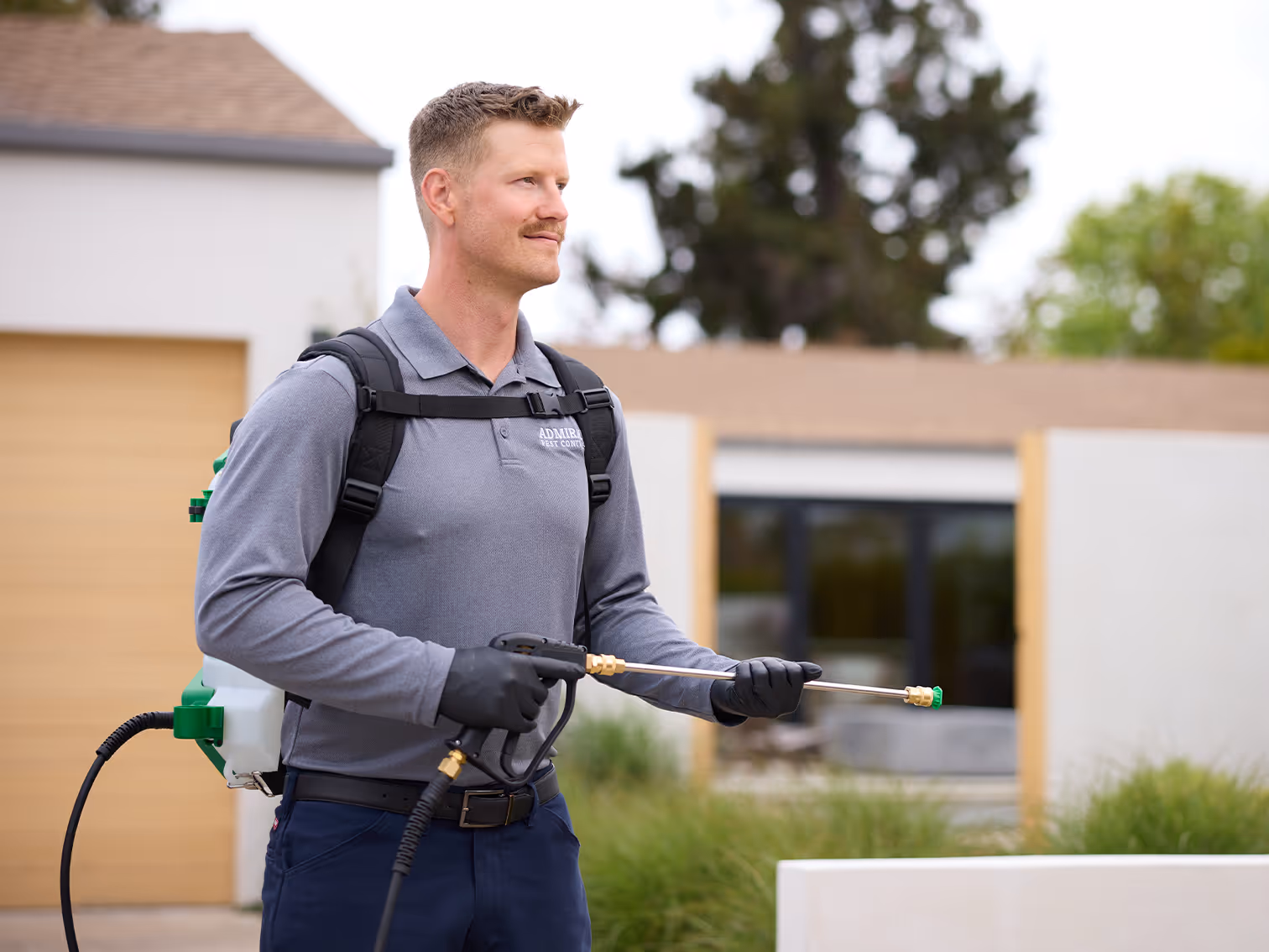 spraying for pests in california