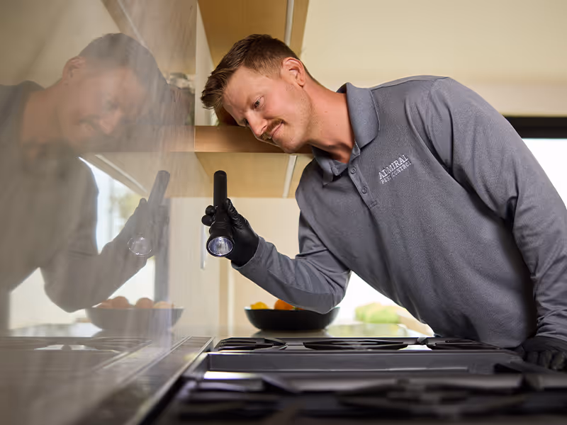 california pest control technician inspecting a home for rodents