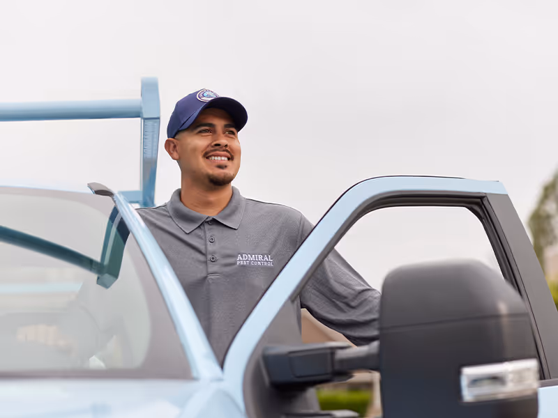 mosquito control tech at a california home