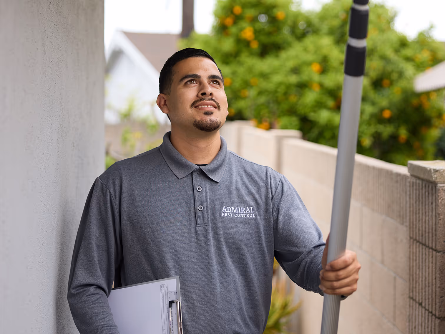 inspecting a ca home for termite damage